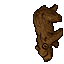 Animated appearance of Bear