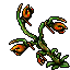 Animated appearance of Spit Nettle