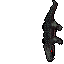 Animated appearance of Caiman