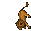 Animated appearance of Lion